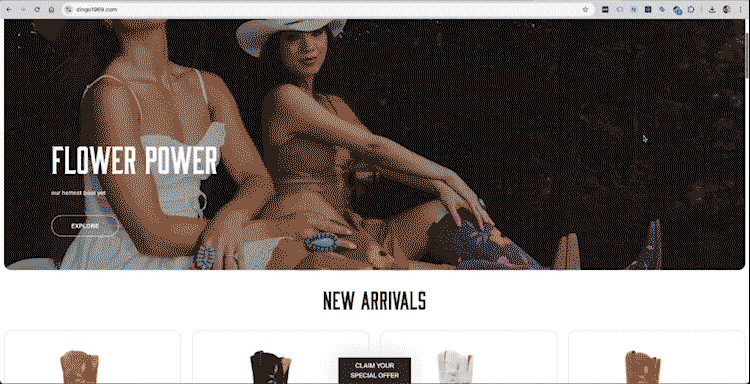 Dingo1969 Animated Homepage