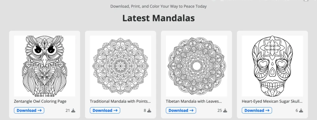 Cache Download Count Data Example